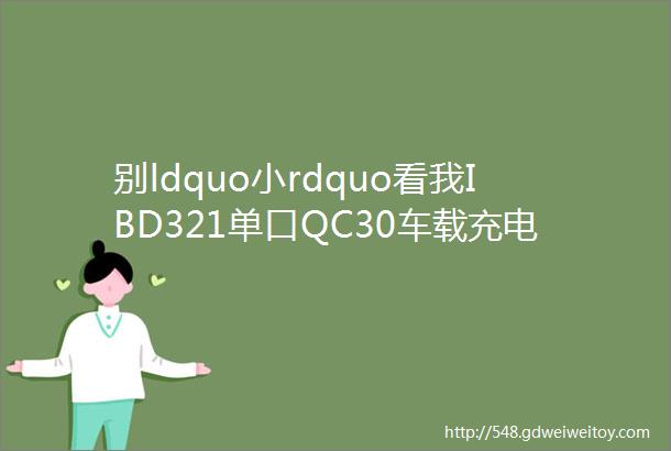 别ldquo小rdquo看我IBD321单口QC30车载充电器评测